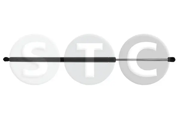 Gas Spring, boot/cargo area (T446792)