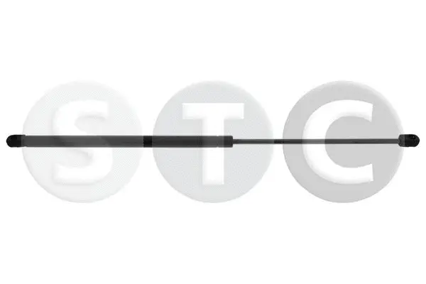 Gas Spring, boot/cargo area (T446849)