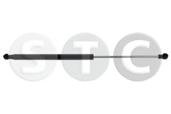 Gas Spring, boot/cargo area (T446590)