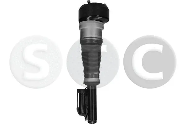Air Suspension Strut (T442906)