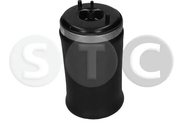 Air Spring, suspension