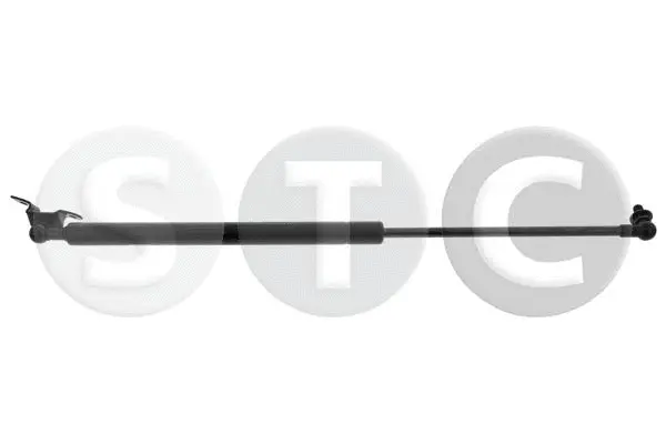 Gas Spring, boot/cargo area (T446438)