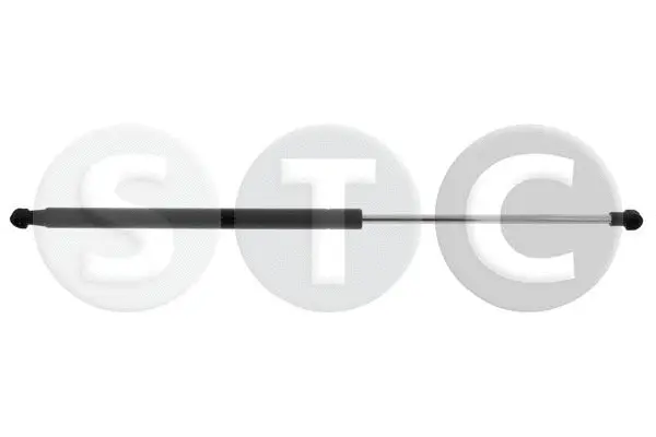 Gas Spring, rear window (T446836)