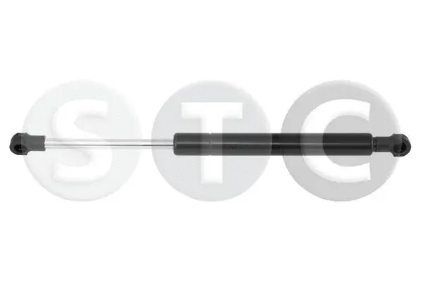Gas Spring, boot/cargo area (T446215)