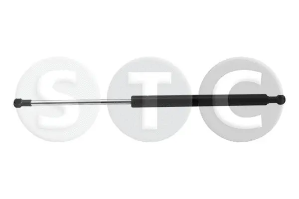 Gas Spring, bonnet (T446651)