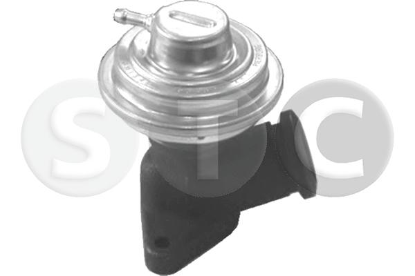 EGR Valve (T493214)
