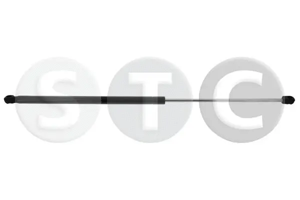 Gas Spring, bonnet (T446270)