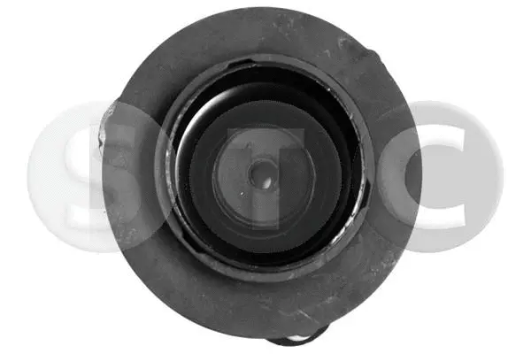 Suspension Strut Support Mount (T458471)