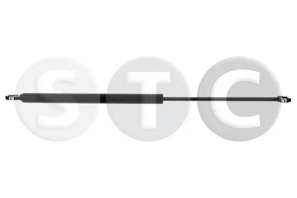 Gas Spring, bonnet (T446205)