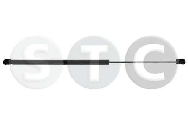 Gas Spring, boot/cargo area (T446181)