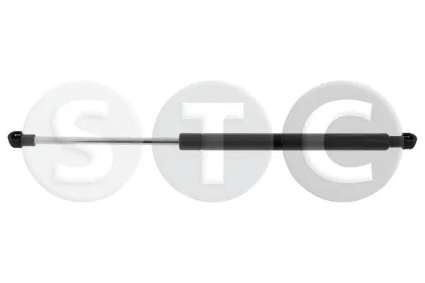 Gas Spring, boot/cargo area (T446875)