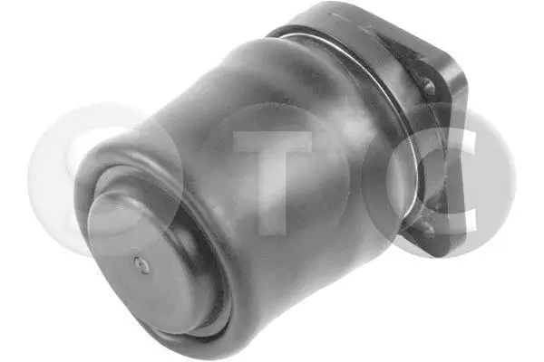 Air Spring, suspension (T442963)