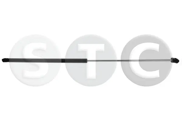 Gas Spring, bonnet (T446458)