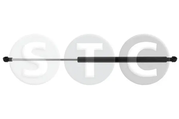 Gas Spring, boot/cargo area (T446473)