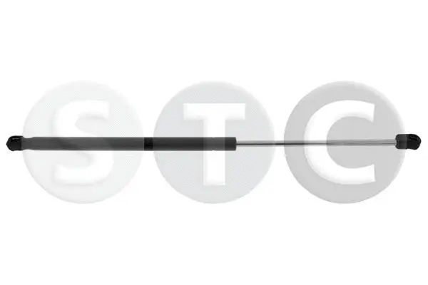 Gas Spring, boot/cargo area (T446659)