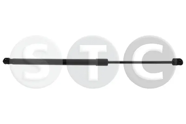 Gas Spring, boot/cargo area (T446454)