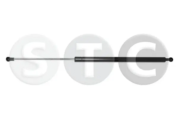Gas Spring, boot/cargo area (T446384)
