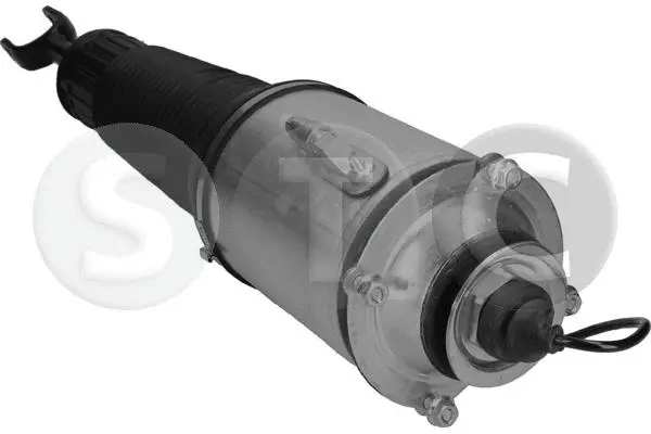 Air Suspension Strut (T442912)