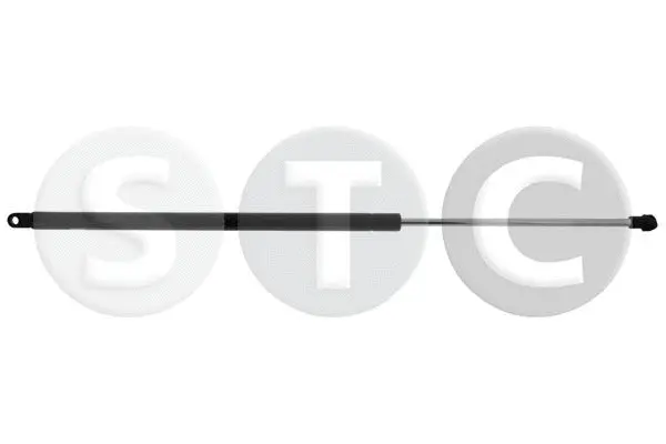 Gas Spring, boot/cargo area (T446459)