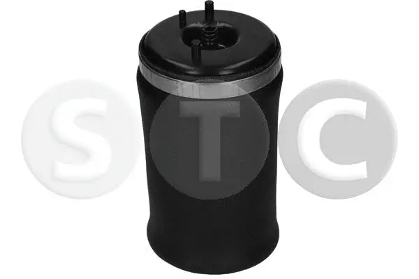 Air Spring, suspension