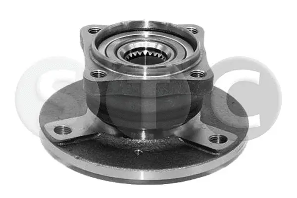 Wheel Hub (T490534)