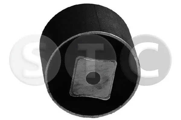 Mounting, engine (T405064)