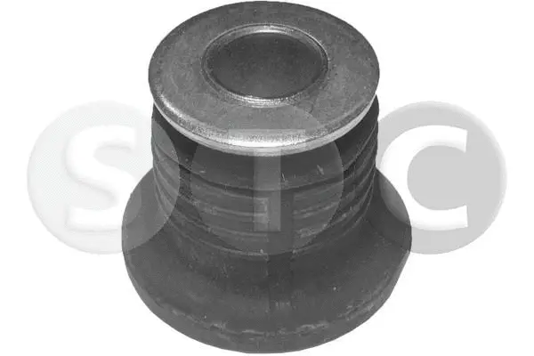 Bushing, axle beam (T404316)