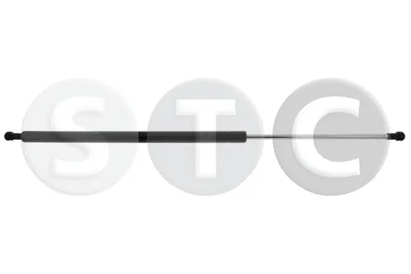 Gas Spring, boot/cargo area (T446505)