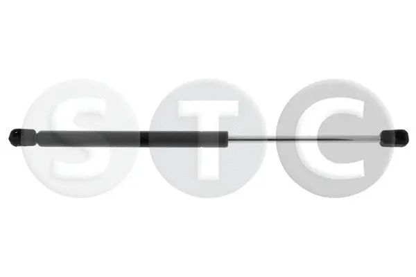 Gas Spring, boot/cargo area (T446767)