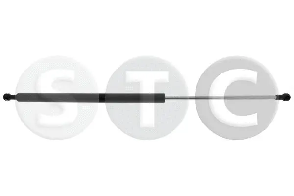 Gas Spring, boot/cargo area (T446261)