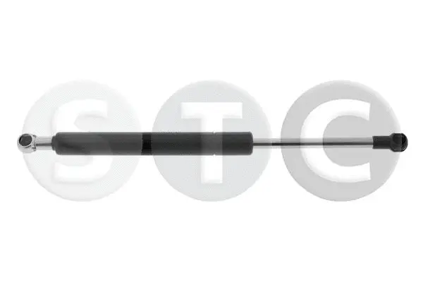 Gas Spring, boot/cargo area (T446770)