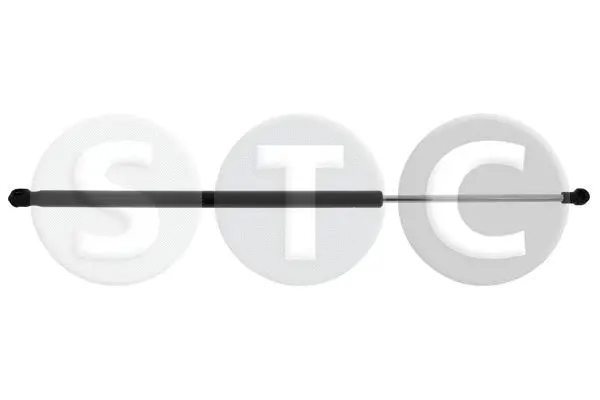Gas Spring, boot/cargo area (T446830)