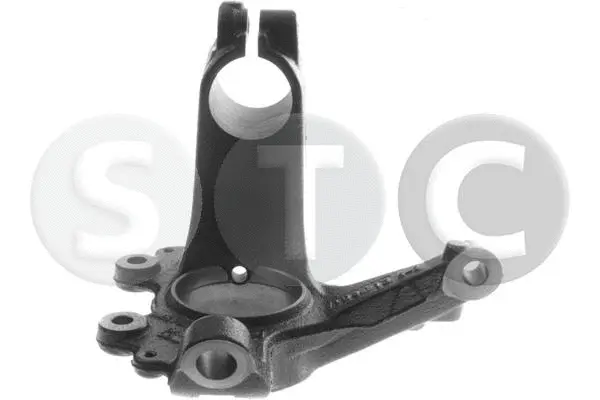 Steering Knuckle, wheel suspension (T490554)