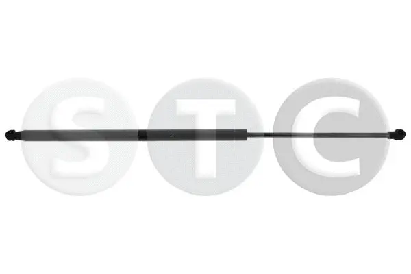 Gas Spring, boot/cargo area (T446622)