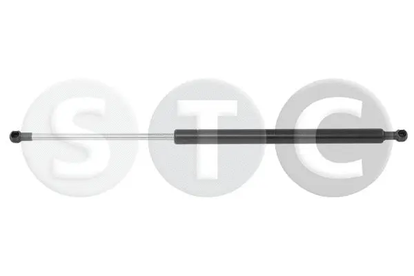 Gas Spring, rear window (T446700)