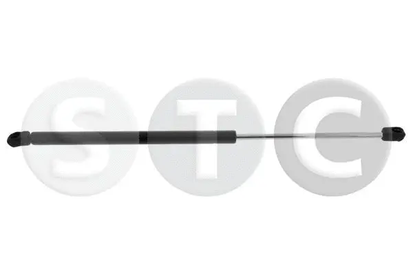 Gas Spring, boot/cargo area (T446718)
