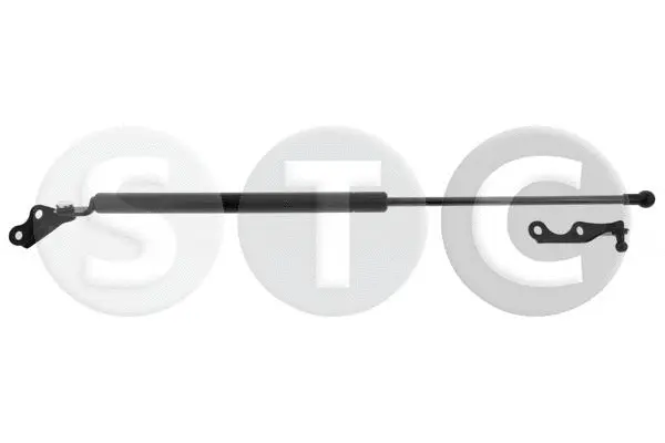 Gas Spring, boot/cargo area (T446603)