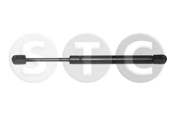 Gas Spring, boot/cargo area (T446609)