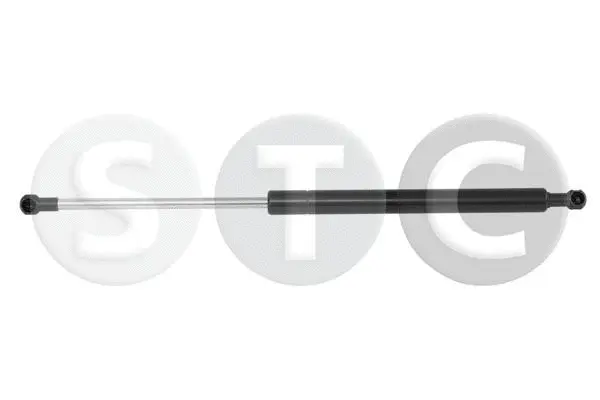 Gas Spring, bonnet (T446888)
