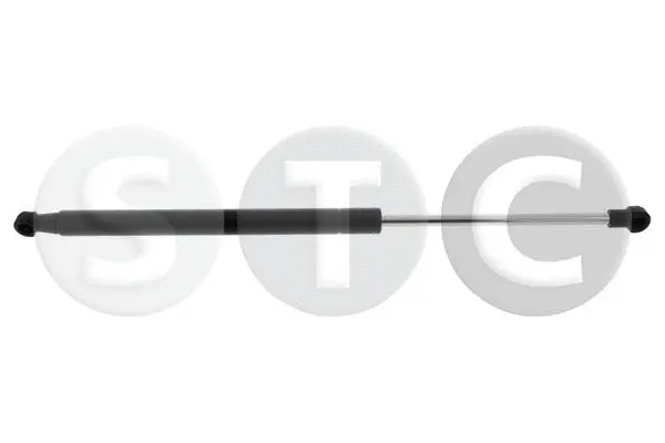Gas Spring, boot/cargo area (T446750)