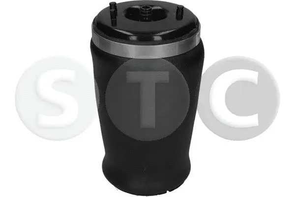 Air Spring, suspension
