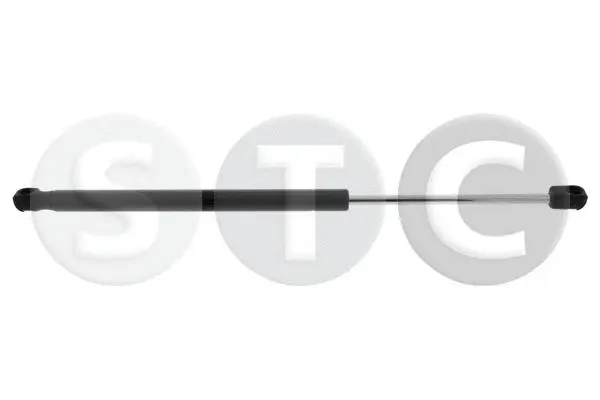 Gas Spring, boot/cargo area (T446732)