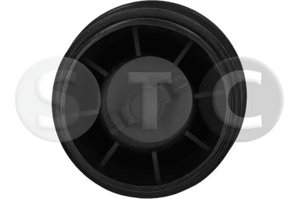 Air Spring, suspension