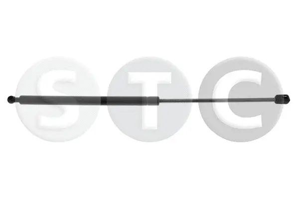 Gas Spring, boot/cargo area (T446598)
