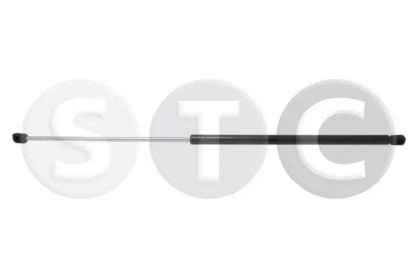 Gas Spring, bonnet (T446148)