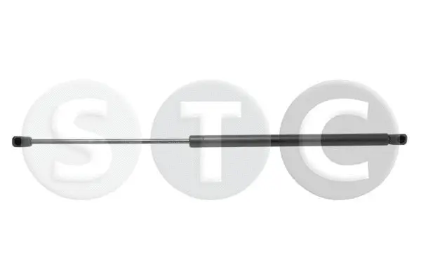 Gas Spring, boot/cargo area (T446127)