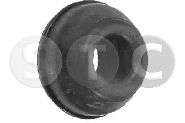 Mounting, control/trailing arm (T458789)
