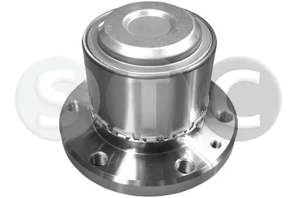 Wheel Hub (T490189)