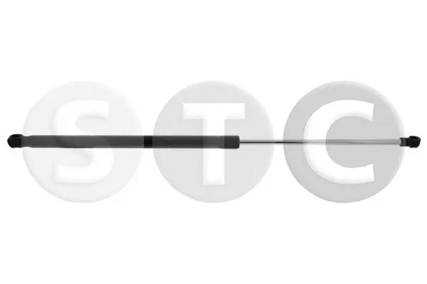 Gas Spring, boot/cargo area (T446172)