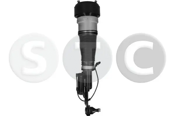 Air Suspension Strut (T442930)